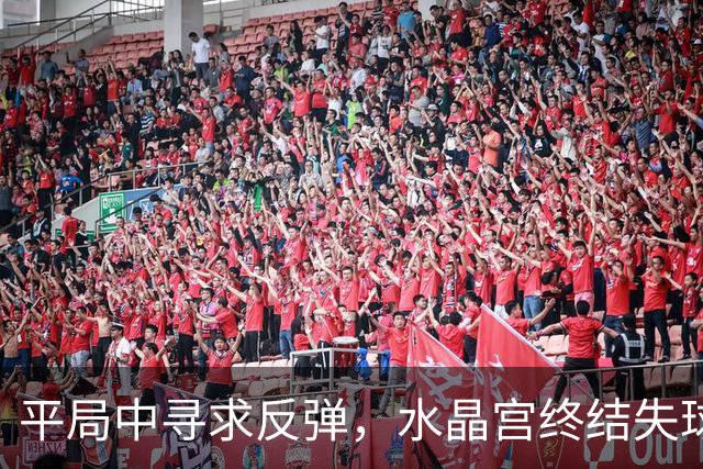 平局中寻求反弹，水晶宫终结失球潮